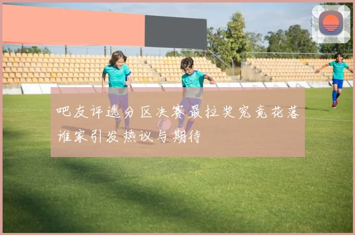 吧友评选分区决赛最拉奖究竟花落谁家引发热议与期待