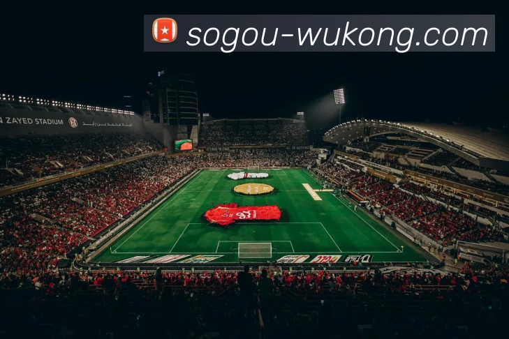 悟空体育APP 封面图